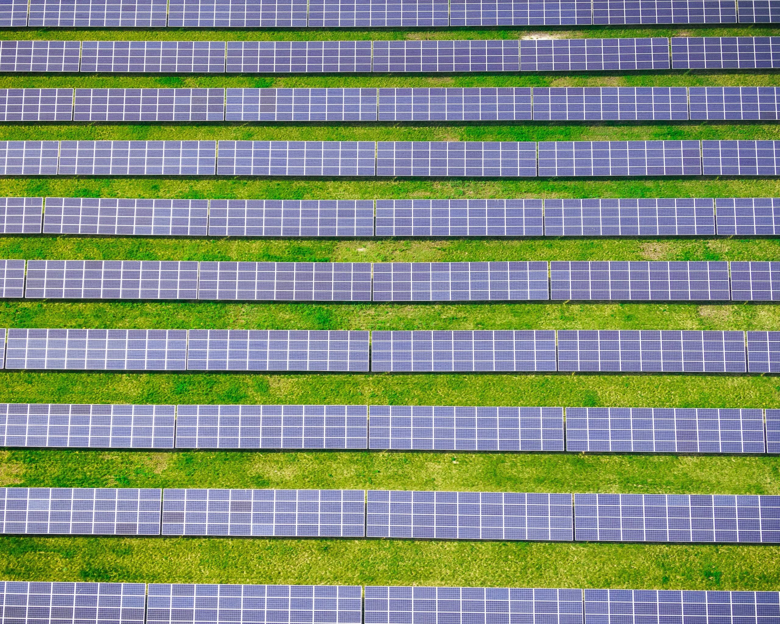 Government & Public Sector